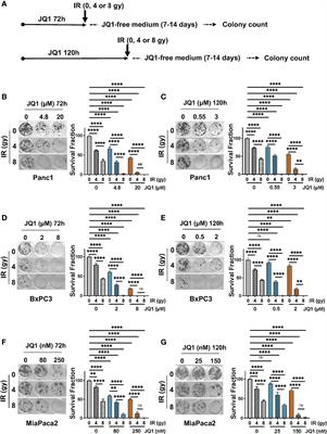 The BET Inhibitor JQ1 Potentiates the Anticlonogenic Effect of Radiation in <mark class="highlighted">Pancreatic Cancer Cells</mark>